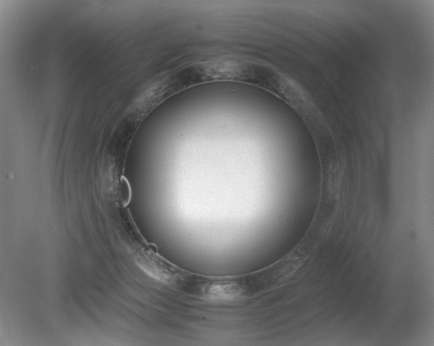 X0000080140173200612081305