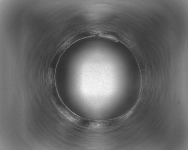 X0000080140174200612081305