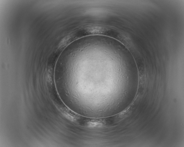 X0000080140175200612081305