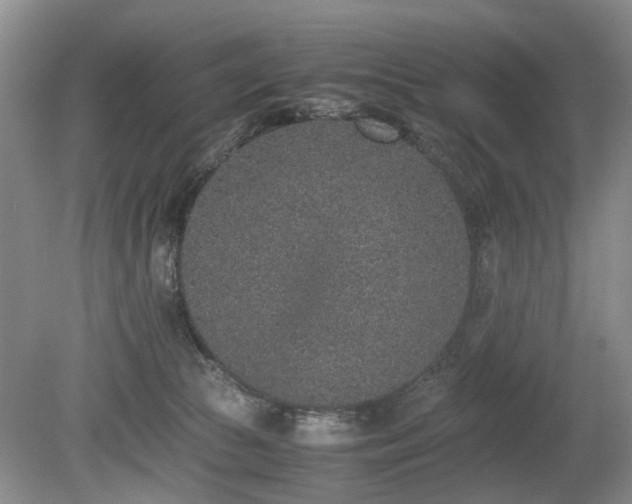X0000080140177200612081305