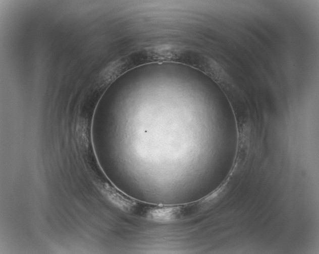 X0000080140178200612081305