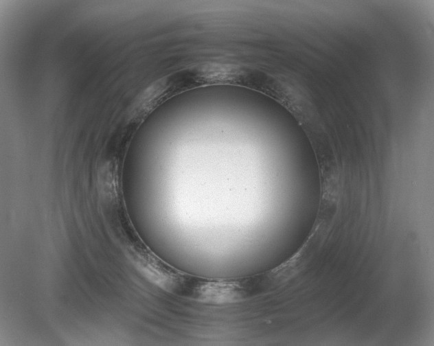 X0000080140179200612081305