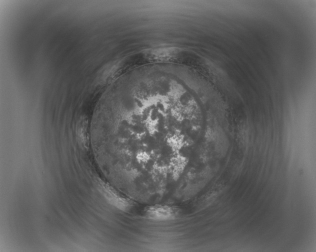 X0000080140181200612081305