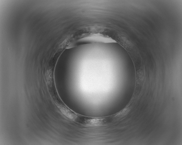 X0000080140184200612081305