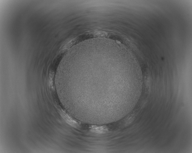 X0000080140185200612081305