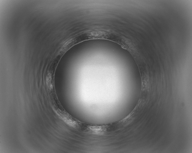 X0000080140187200612081305
