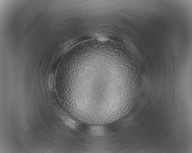 X0000080140189200612081305