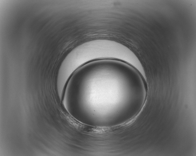 X0000080140190200612081305