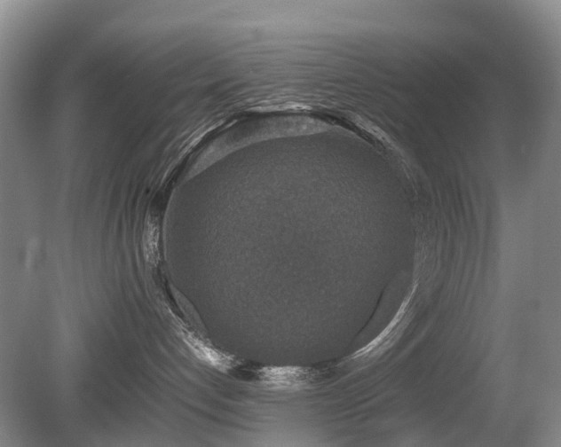 X0000080140192200612081305