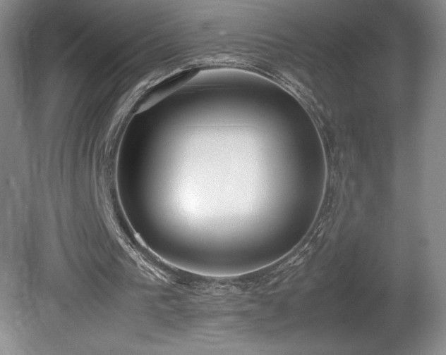 X0000080140193200612081305