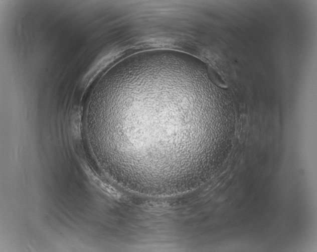 X0000080140194200612081304