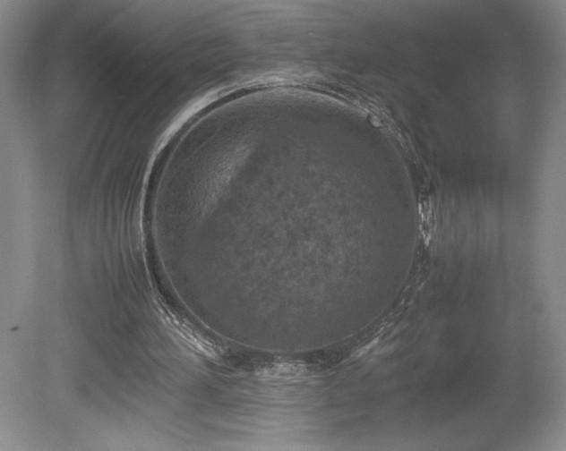 X0000080140196200612081304