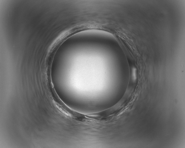 X0000080140197200612081304