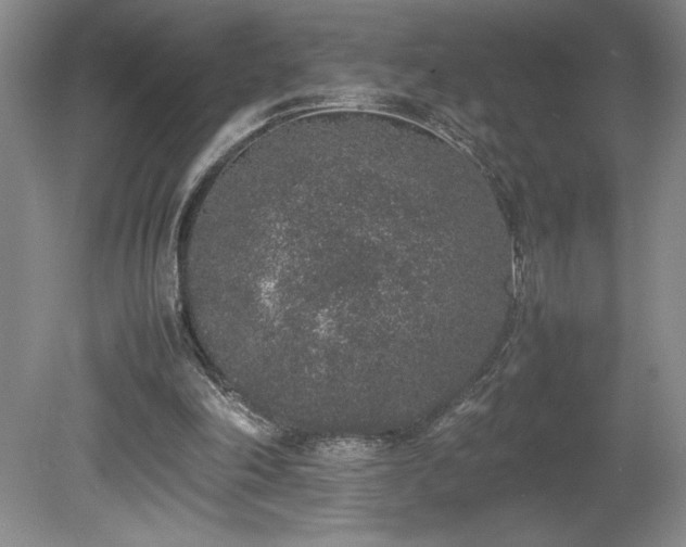 X0000080140198200612081304
