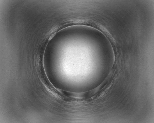 X0000080140201200612081304