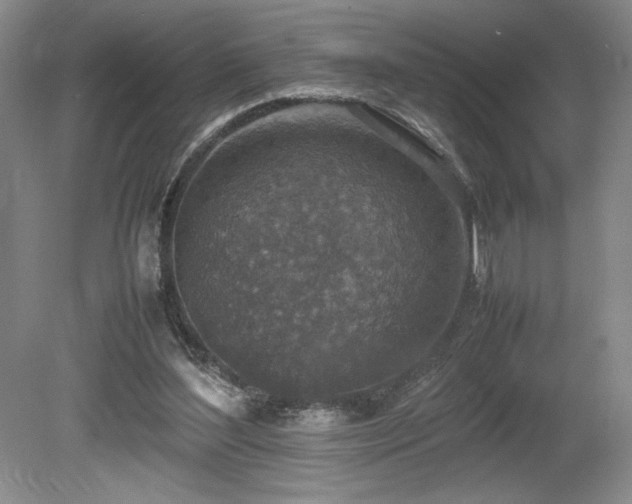X0000080140204200612081304