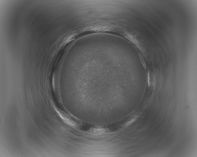 X0000080140205200612081304