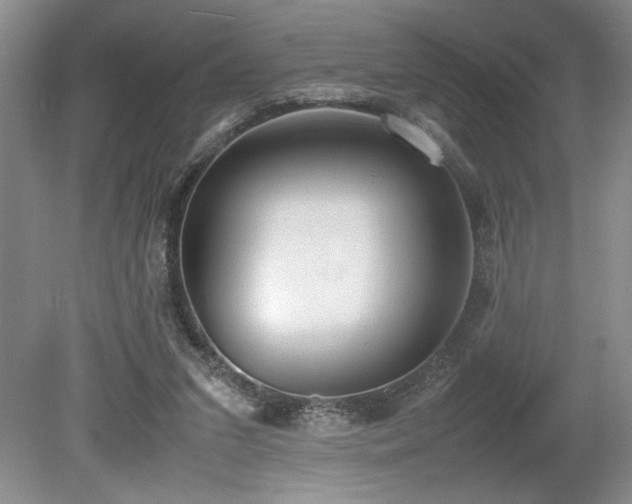 X0000080140207200612081304