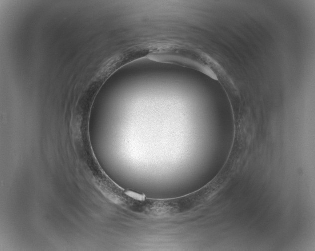 X0000080140209200612081304
