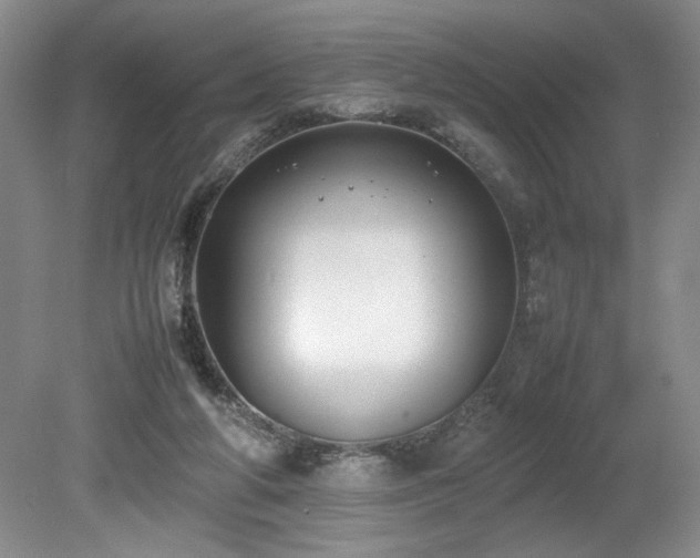 X0000080140210200612081304