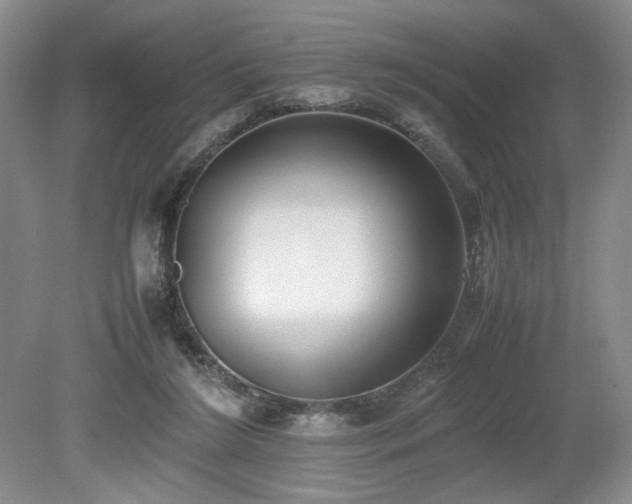 X0000080140212200612081304