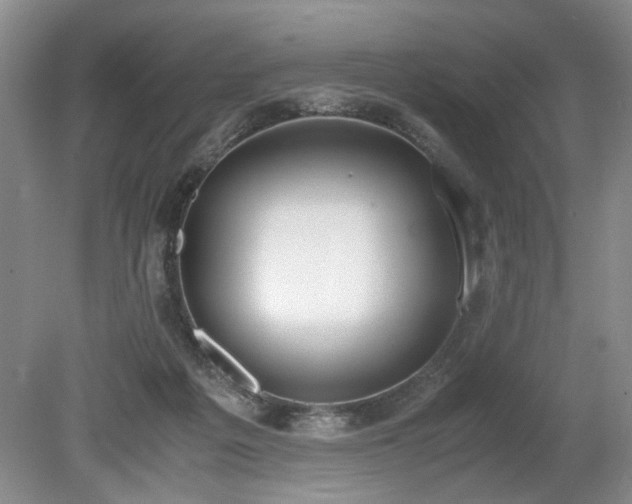 X0000080140217200612081304