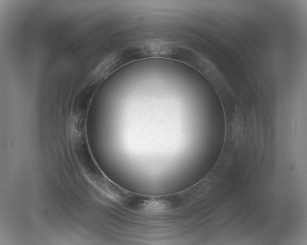 X0000080140218200612081304