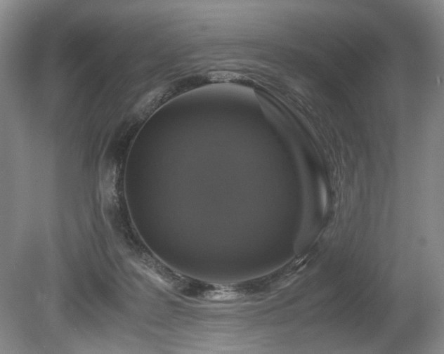 X0000080140219200612081304