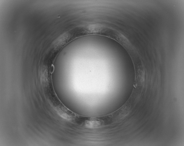 X0000080140220200612081304