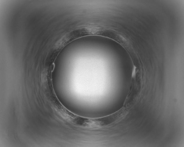 X0000080140221200612081304