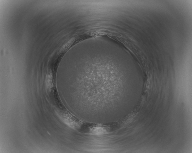 X0000080140224200612081304