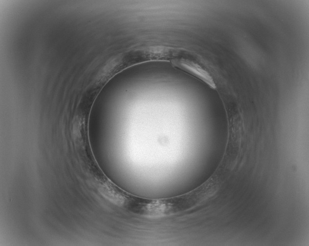 X0000080140225200612081304
