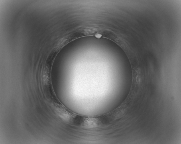 X0000080140226200612081304