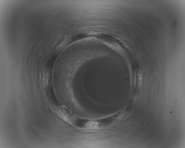 X0000080140227200612081304