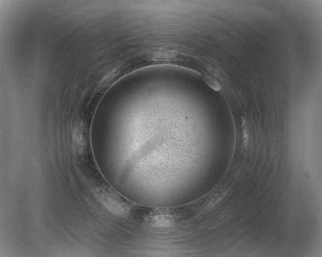 X0000080140228200612081304