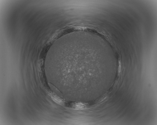 X0000080140229200612081304
