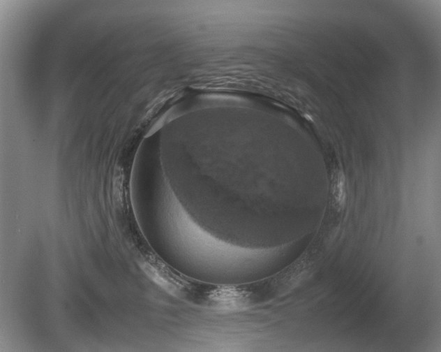 X0000080140231200612081304