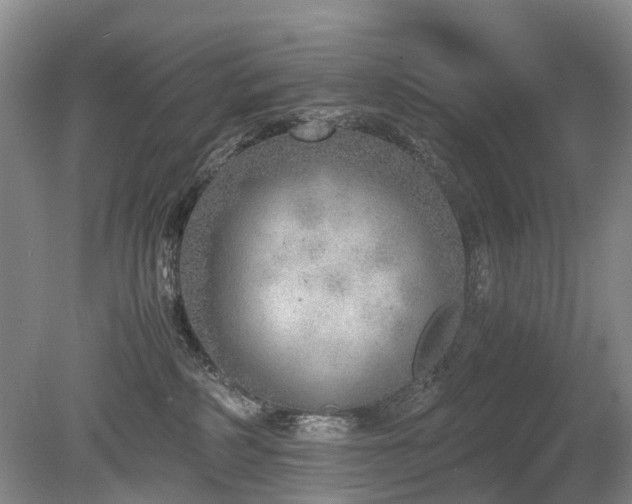 X0000080140234200612081304