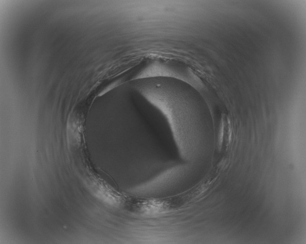 X0000080140235200612081304