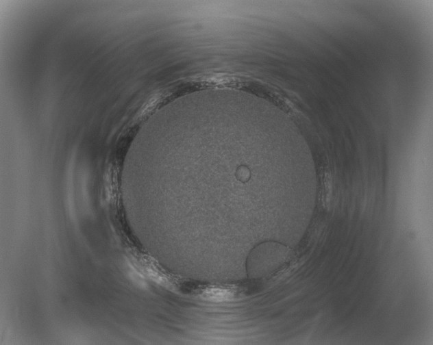 X0000080140236200612081304