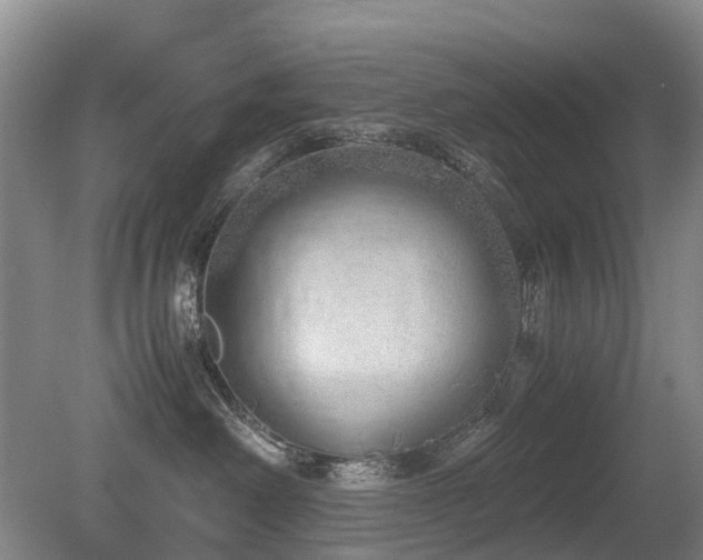 X0000080140238200612081304
