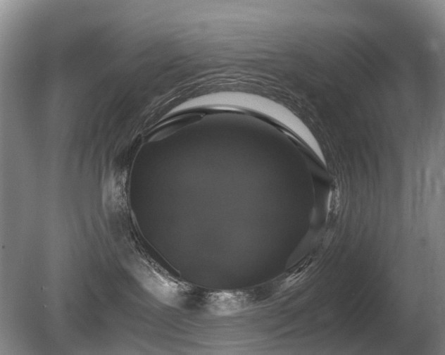 X0000080140239200612081304