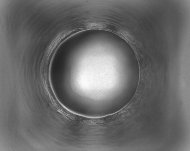 X0000080140241200612081303