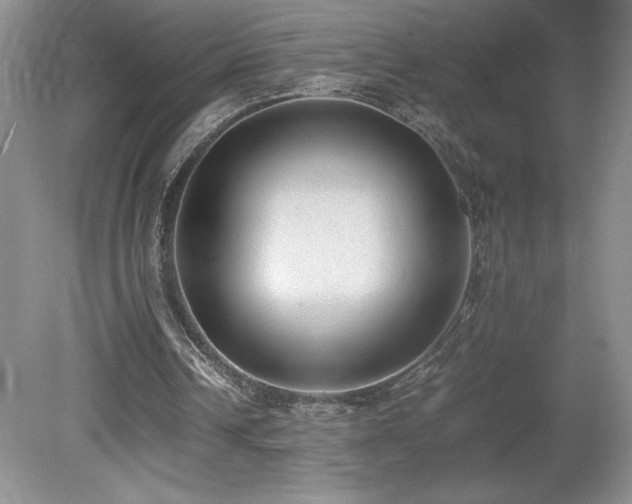 X0000080140242200612081303