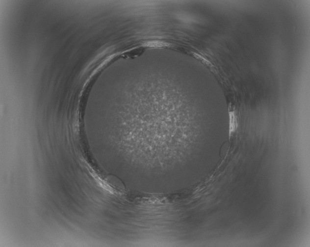 X0000080140243200612081303