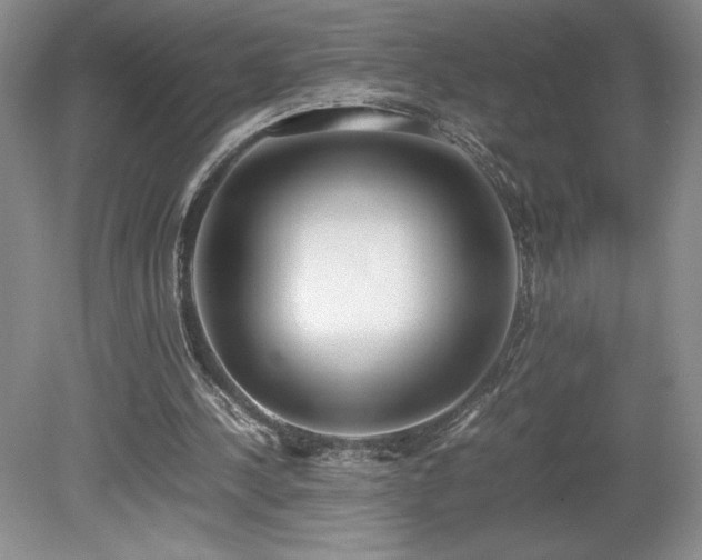 X0000080140244200612081303