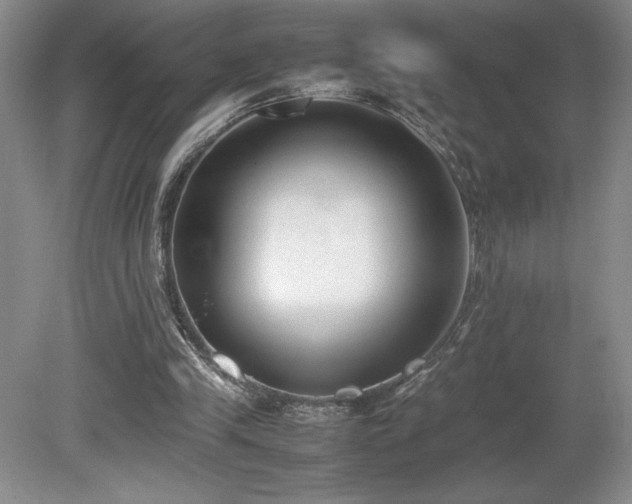 X0000080140245200612081303