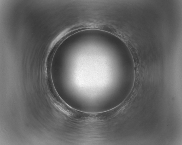 X0000080140246200612081303