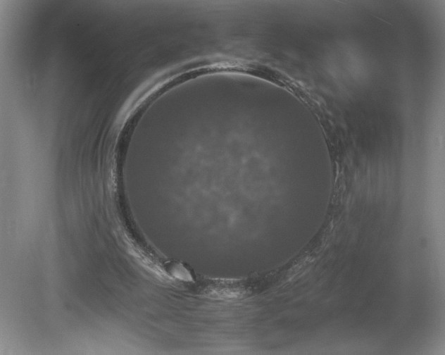 X0000080140247200612081303