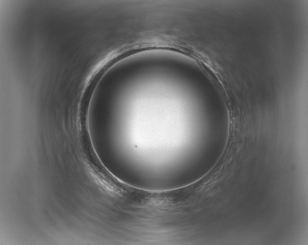 X0000080140248200612081303